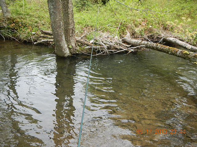 camp 05-17-13 020.jpg -                                